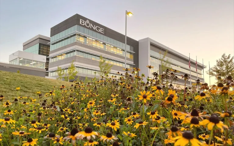 Bunge Permits To Work
